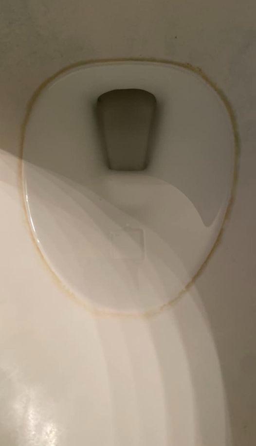 How to Remove Hard Water Stains from a Toilet Bowl