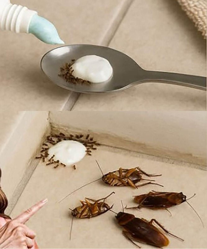 Say Goodbye to Pests: This Simple Bathroom Trick Keeps Insects Out — Naturally