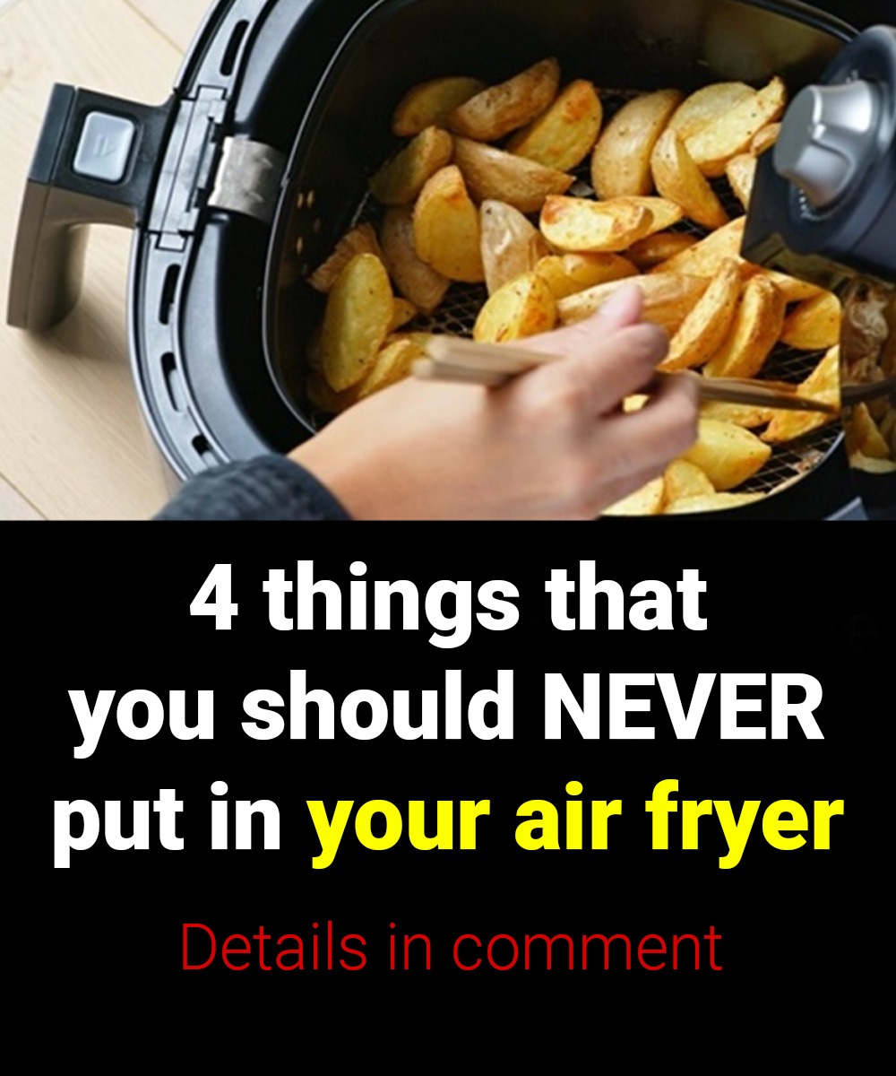 4 things you should never put in your air fryer