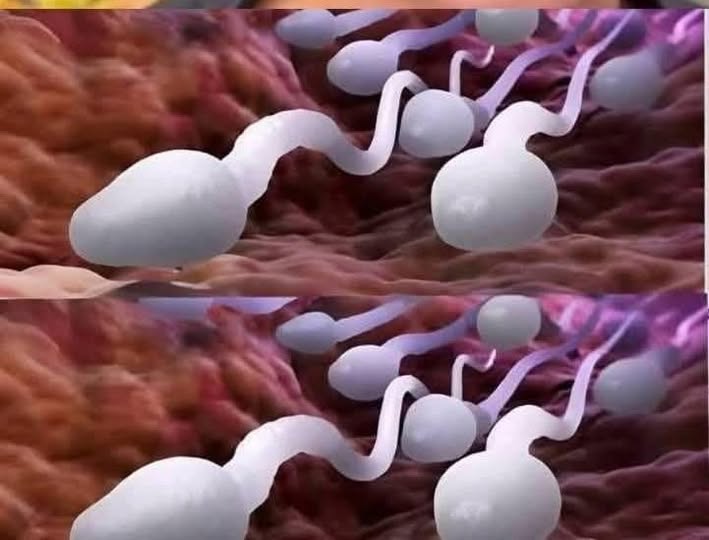 Doctors Reveal That Swallowing Leads to… See More