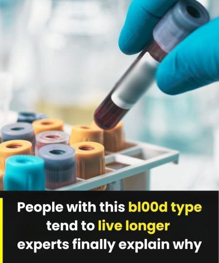 “The Longevity Recipe: How Your Blood Type May Stir the Secrets of a Longer Life”