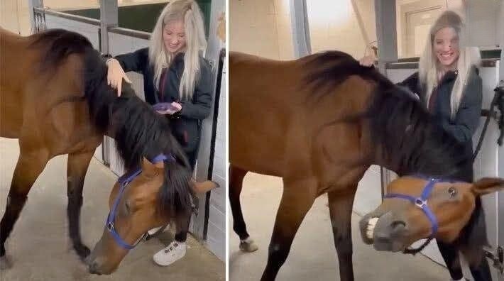 Young woman was hospitalized after being penetrated! See more