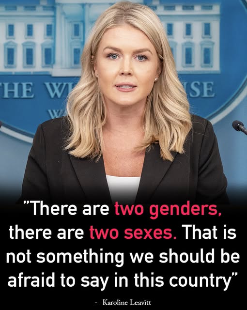 Karoline Leavitt takes vicious swipe at Supreme Court over bombshell hearing on trans athletes in women’s sport