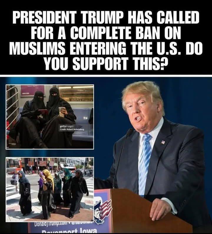 DETAILS IN COMMENT ⬇️