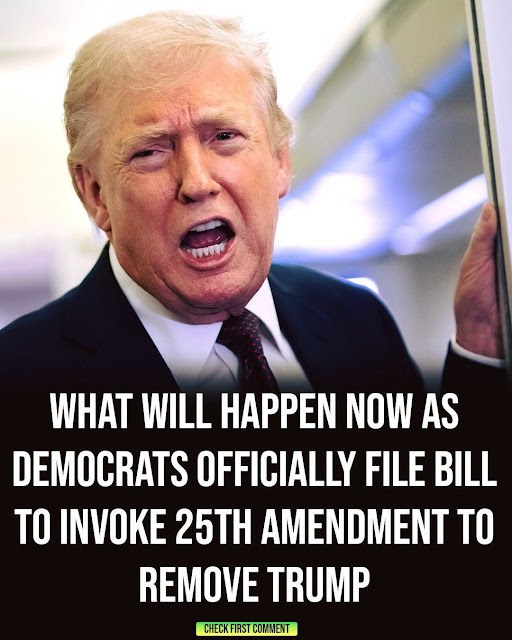 Democrats File Bill Related to the 25th Amendment and President Trump